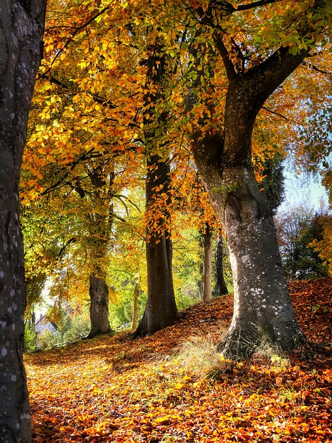 Строительство на участке с уклоном: практические рекомендации
